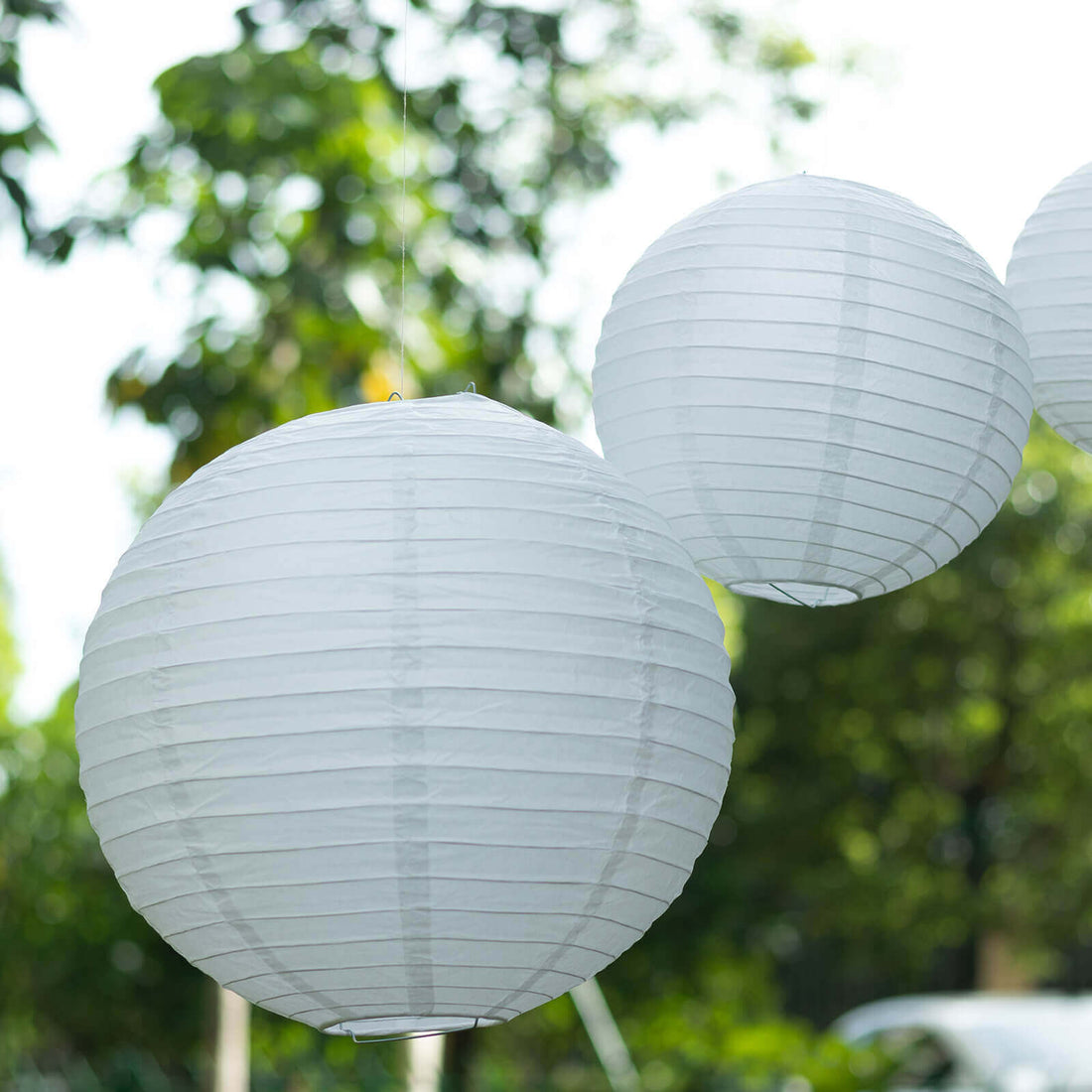 White paper lanterns hanging outdoors in a garden setting.