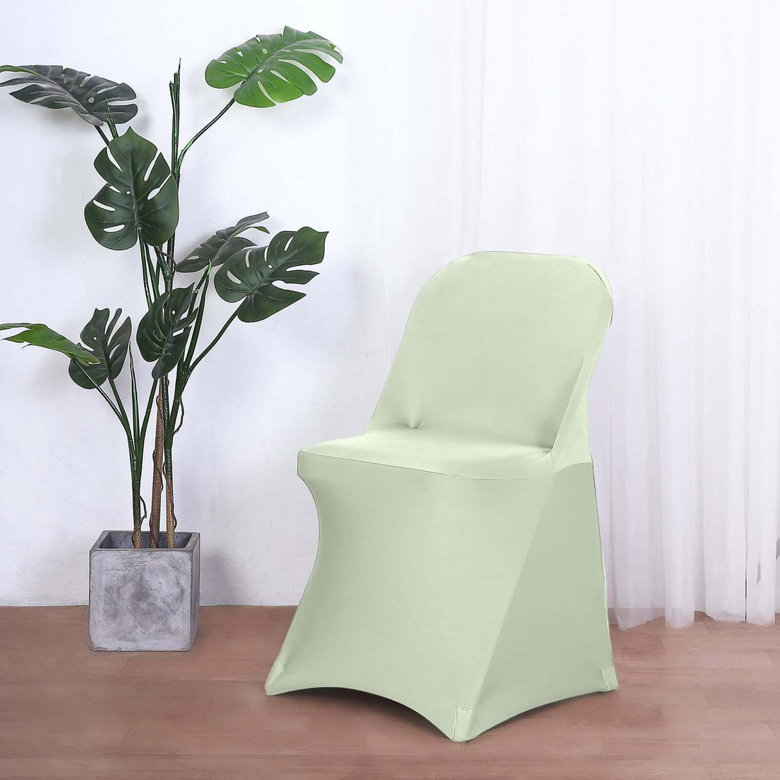 Green chair cover on a chair beside a potted plant in a bright room.