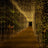 Magical pathway adorned with shimmering fairy lights at night.