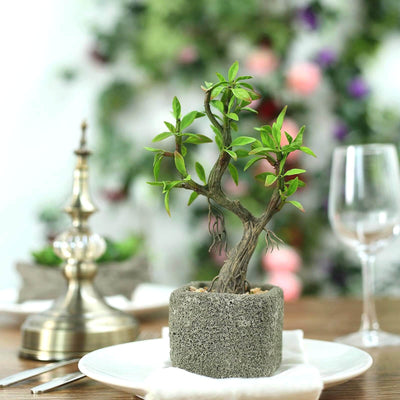 Willow Tree Artificial Succulents in Concrete Pot 9" - Realistic Maintenance-Free Faux Plants for Bathroom Coffee Table Shelves & Desk