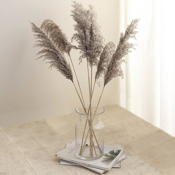 Natural Tint Dried Pampas Grass for Decor