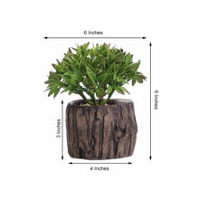 6 Inch Artificial Aeonium Plants Stump Planter Pot 3 Pack
