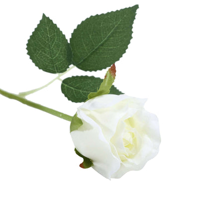 White rose flower with green leaves on a stem