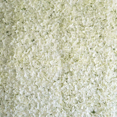 White flower petal backdrop for events and photography