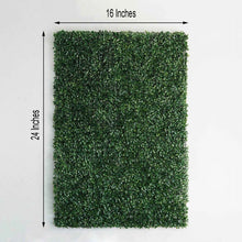Floral & Greenery Panels - Plastic Green Rectangular Wall with measurements of 16 inches and 24 inches