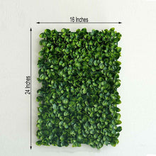 Plastic Green Boxwood Hedge Panel with measurements of 16 inches and 24 inches