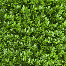 11 Sq ft. | Lime Green Boxwood Hedge Genlisea Garden Wall Backdrop Mat#whtbkgd