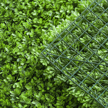 Vibrant Lime Green Boxwood Panels for Versatile Event Decor