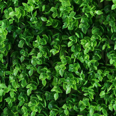 Artificial green foliage background for home decor or gardening projects.
