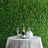Champagne bottle and glasses on a lace tablecloth with greenery backdrop.
