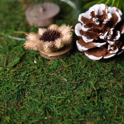 Natural decor elements: dried flowers, pine cone, and moss on a green backdrop.