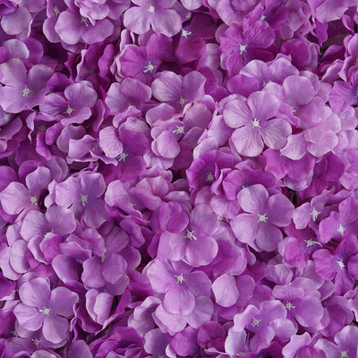 Purple hydrangea petals scattered densely on a surface.