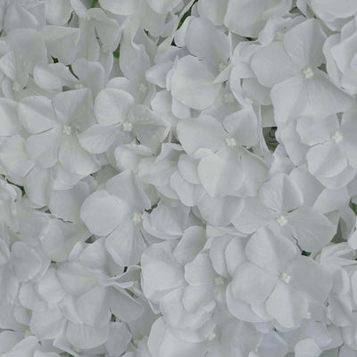 White floral backdrop with delicate petals and soft texture.