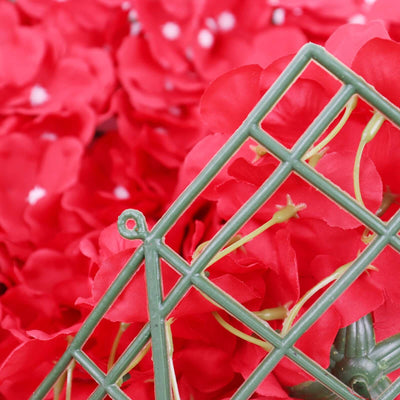 Green trellis against vibrant red flowers
