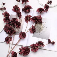 Artificial Burgundy Carnations 42 Inches Tall 2 Branches