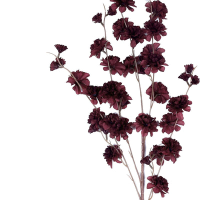 Burgundy flower bouquet on a white background