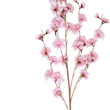 Bring Life to Any Occasion with Pink Carnation Flower Stems
