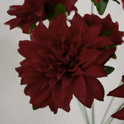 Red dahlia flower close-up on a plain backdrop.