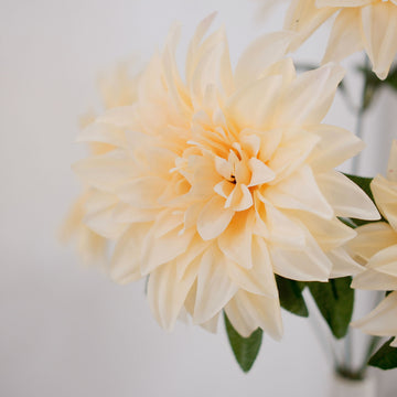 Create a Timeless Look with Cream Silk Flowers
