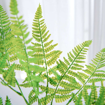 Green fern leaves on a bright background.