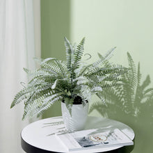 Indoor Spray Of Frosted Green Fern Leaves 2 Stems