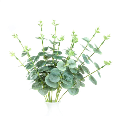 Eucalyptus plant arrangement in a white vase