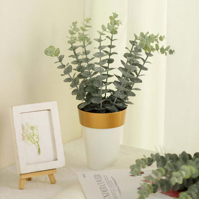 Eucalyptus plant in a white pot with gold trim on a soft background.