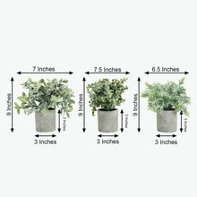 Mini Potted Artificial Eucalyptus Rosemary Boxwood Faux Planter 3 Plant Set 9 Inch