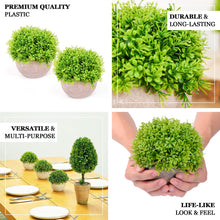 Mini 5 Inch Potted Planter with Artificial Boxwood Topiary 2 Plant Set