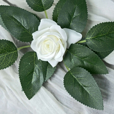 White rose with green leaves on a soft, neutral background.