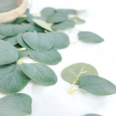 Eucalyptus leaves scattered on a white surface