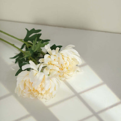 White peony flowers arranged on a table with soft shadows.