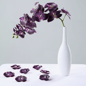 Create Stunning DIY Crafts and Decorations with Eggplant Orchids
