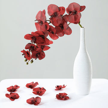 Versatile and Durable Red Silk Orchids for Various Occasions