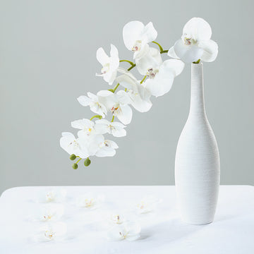 Versatile and Stunning White Orchid Flower Heads