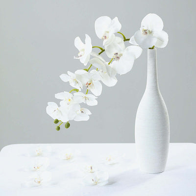 White orchid in a sleek vase with scattered petals on a light background.