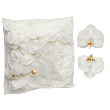 Create a Serene Atmosphere with White Craft Silk Orchid Flower Heads