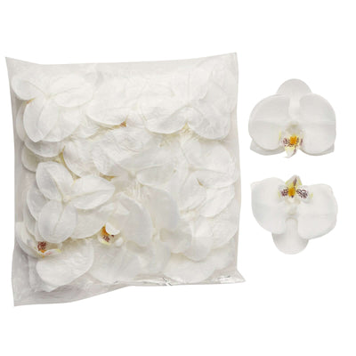 White orchid flower petals in a clear bag, ideal for decoration or crafting.