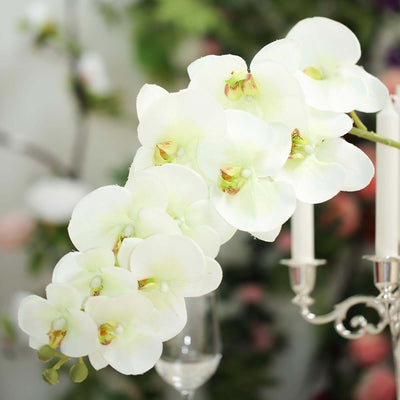 White orchid flower arrangement with delicate petals and green accents.