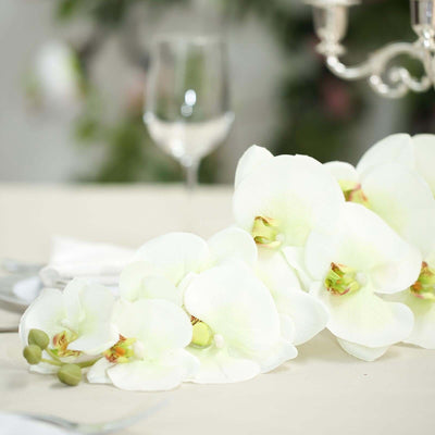 Elegant white orchids arranged on a table setting.