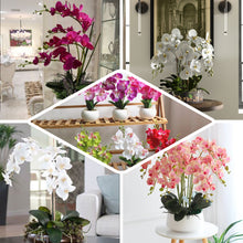 2 Stems Cream Tall Artificial Silk Orchid Flower Bouquet 40 Inch