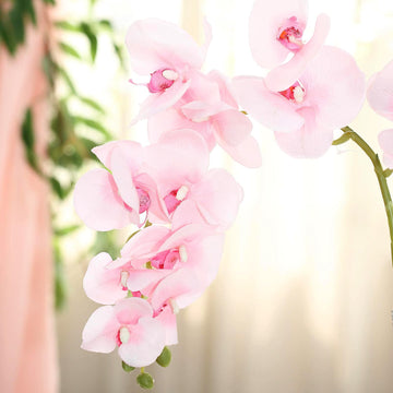 Versatile and Beautiful Orchid Bouquets