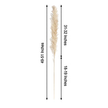6 Stems | 49inch Wheat Tint Dried Natural Pampas Grass Plant Sprays