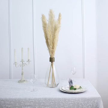 Create a Serene and Natural Ambiance with Dried Wheat Tint Pampas Grass