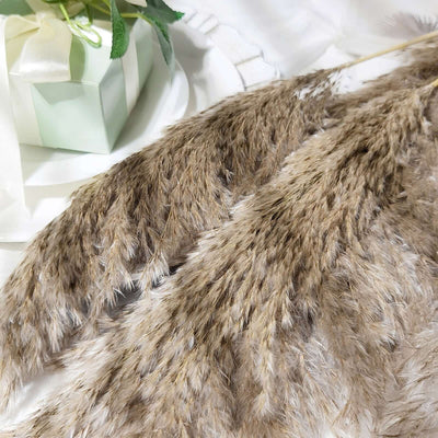 Dried pampas grass arrangement on a decorative plate with a gift box.