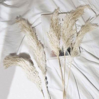 Dried pampas grass arrangement on a book