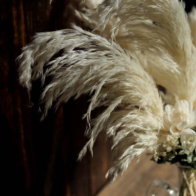 Pampas grass arrangement in a decorative vase.