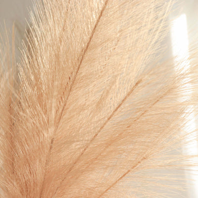 Soft peach pampas grass stem on a light background.