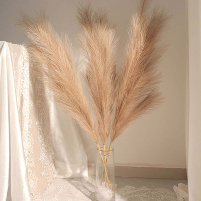 Dried pampas grass in a clear vase on a soft backdrop.