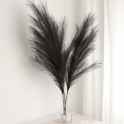 Black pampas grass in a clear vase against a light background.